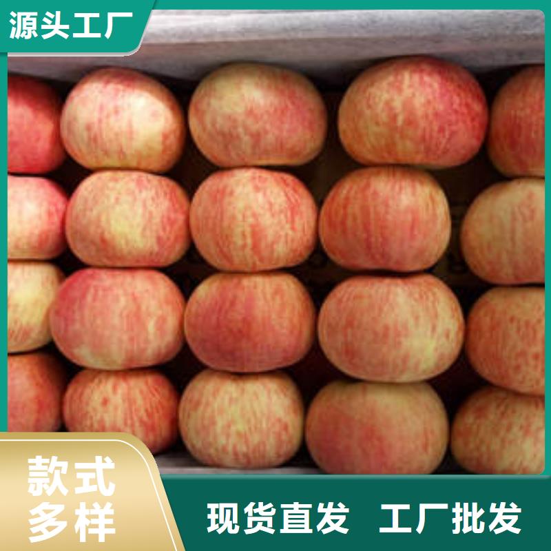 红富士苹果公司