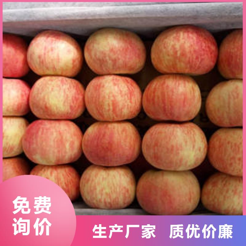 红富士苹果大厂家选的放心畅销当地