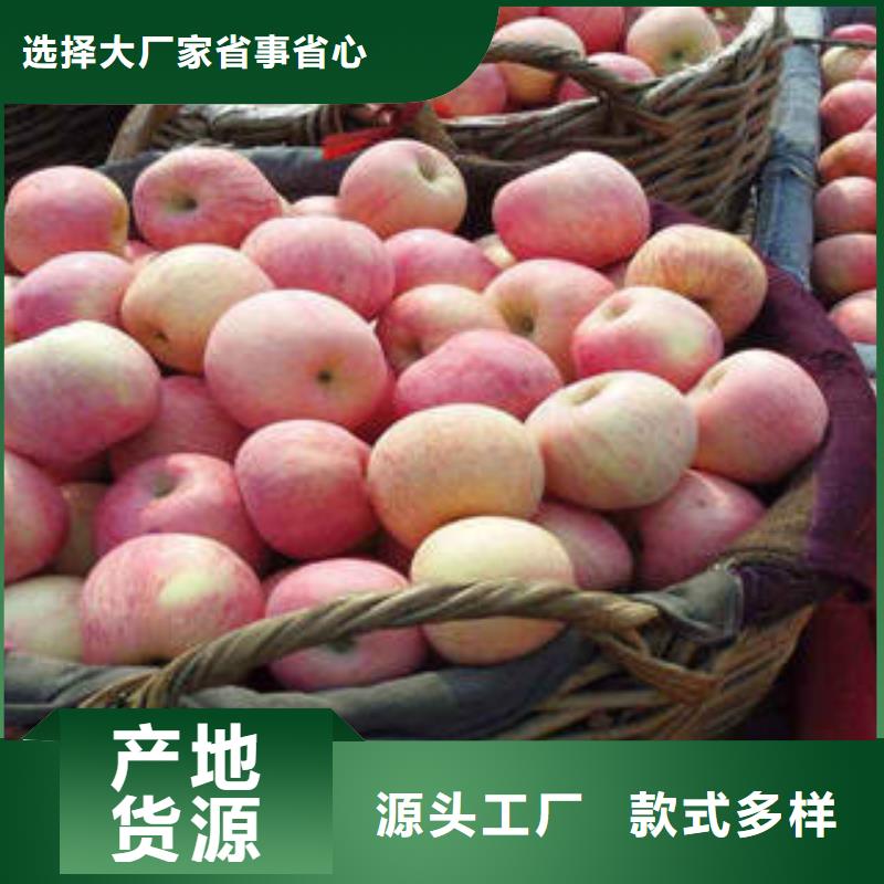 红富士苹果-大家一致的选择！