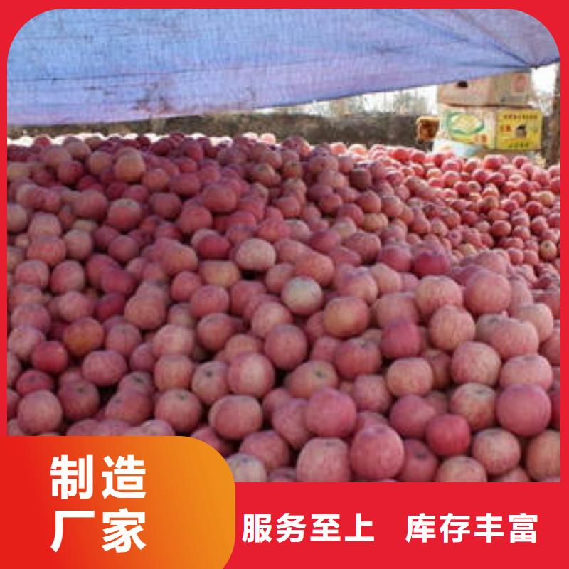 选购红富士苹果可按需定制