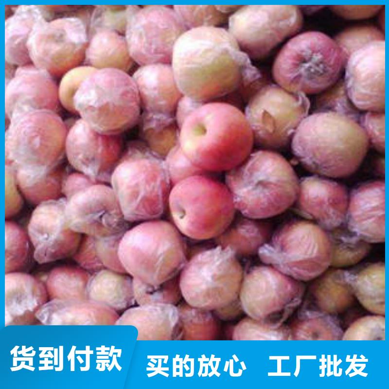 红富士苹果如何购买买的放心安兴用的舒心