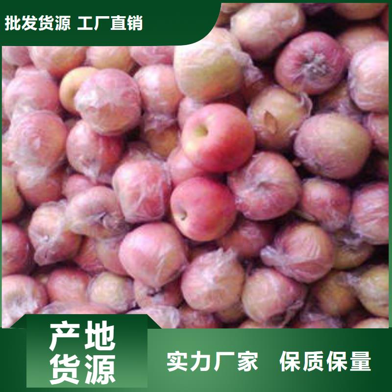 红富士苹果报价
