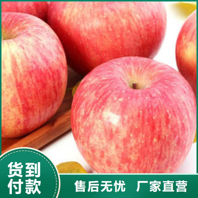 值得信赖的红富士苹果