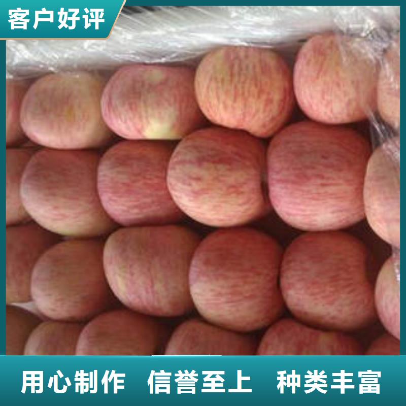 红富士苹果三年质保