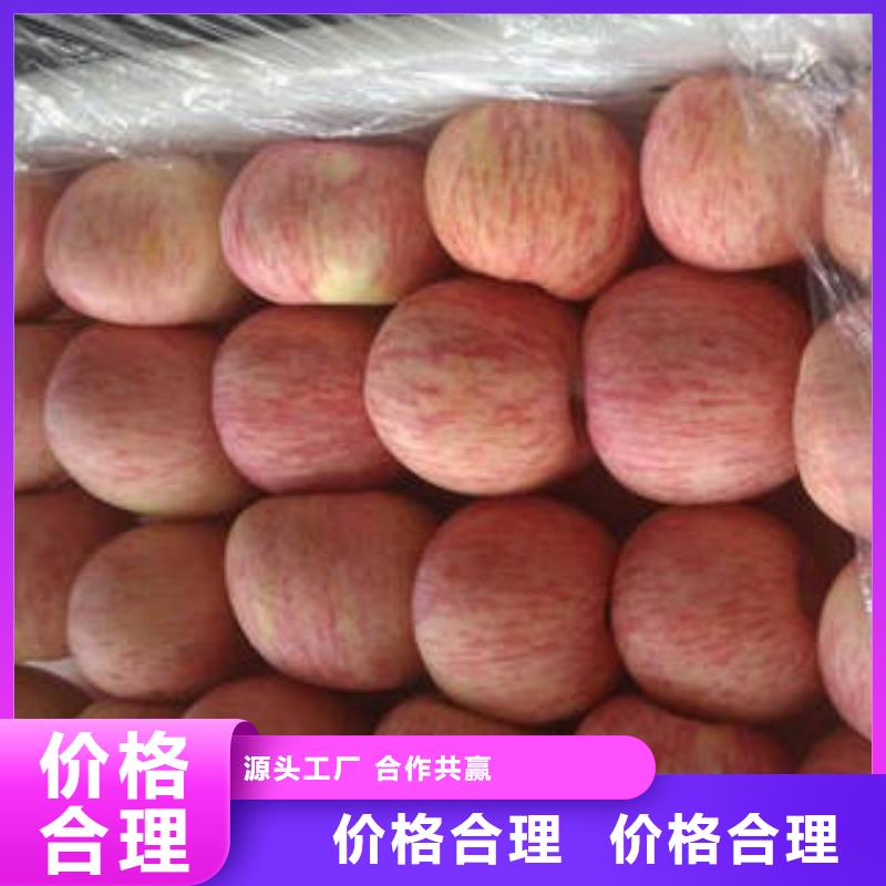 好消息：红富士苹果厂家优惠直销实体厂家大量现货