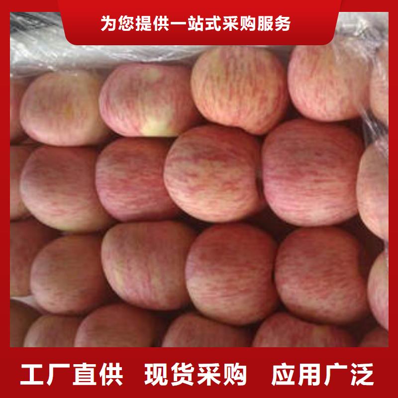 红富士苹果设计