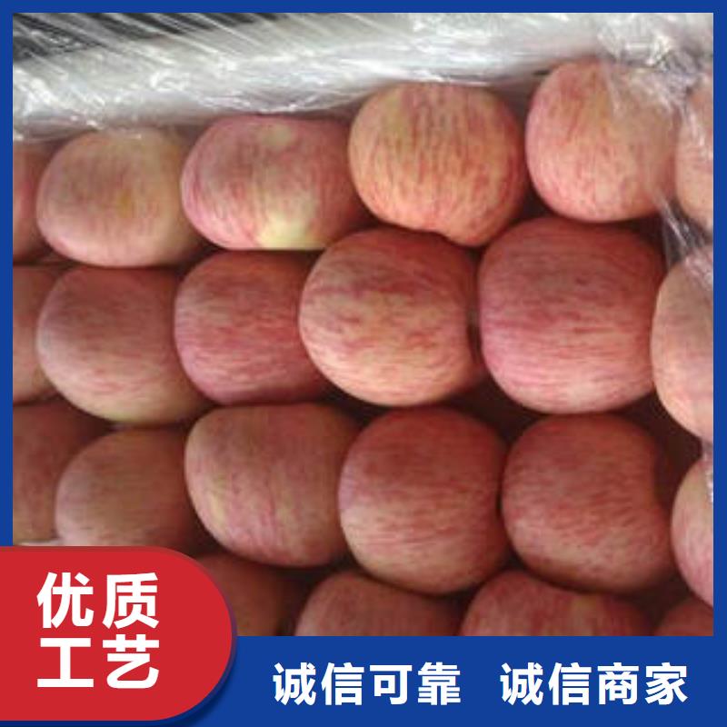 质量优的红富士苹果生产厂家本地配送
