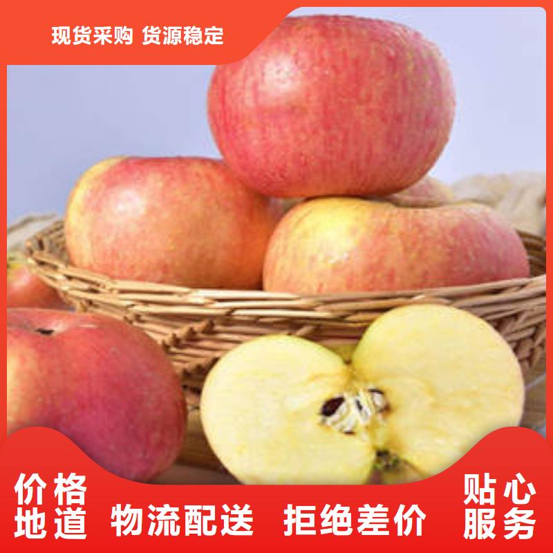 优惠的红富士苹果批发商