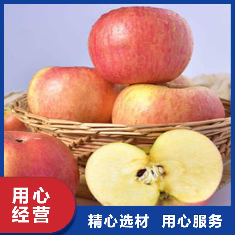 红富士苹果就是好