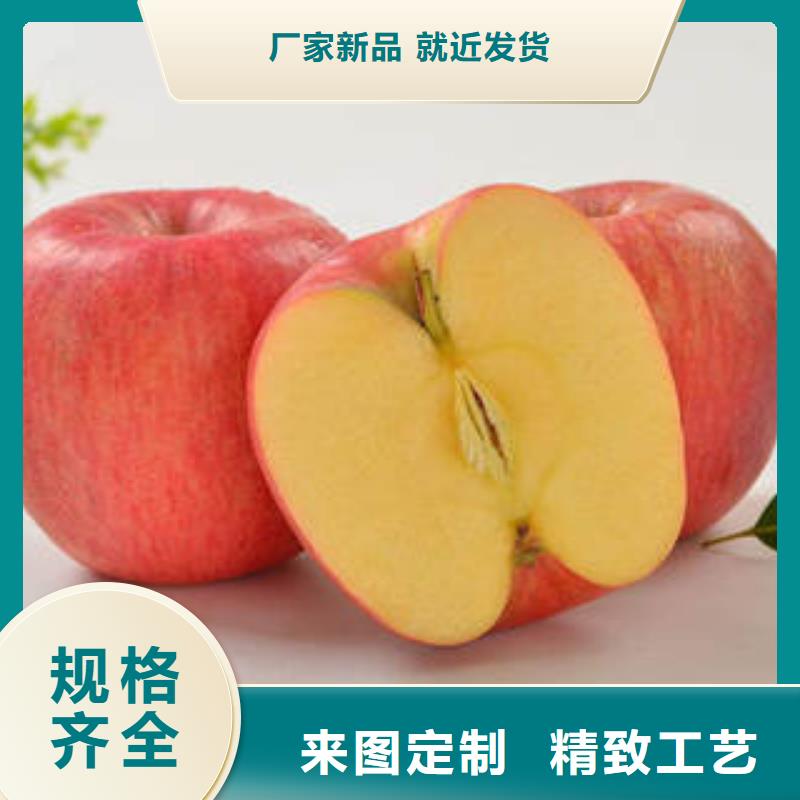 生产红富士苹果厂家-可定制