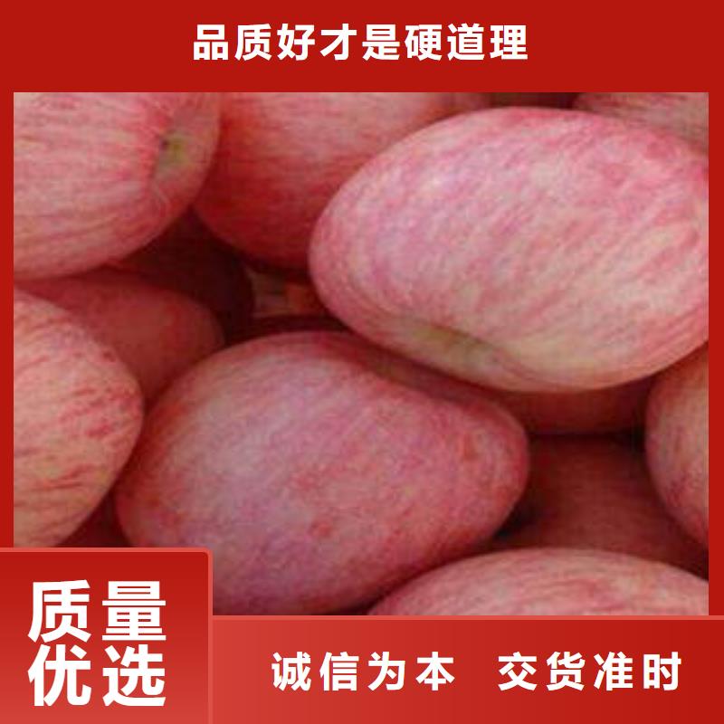 选购红富士苹果可按需定制