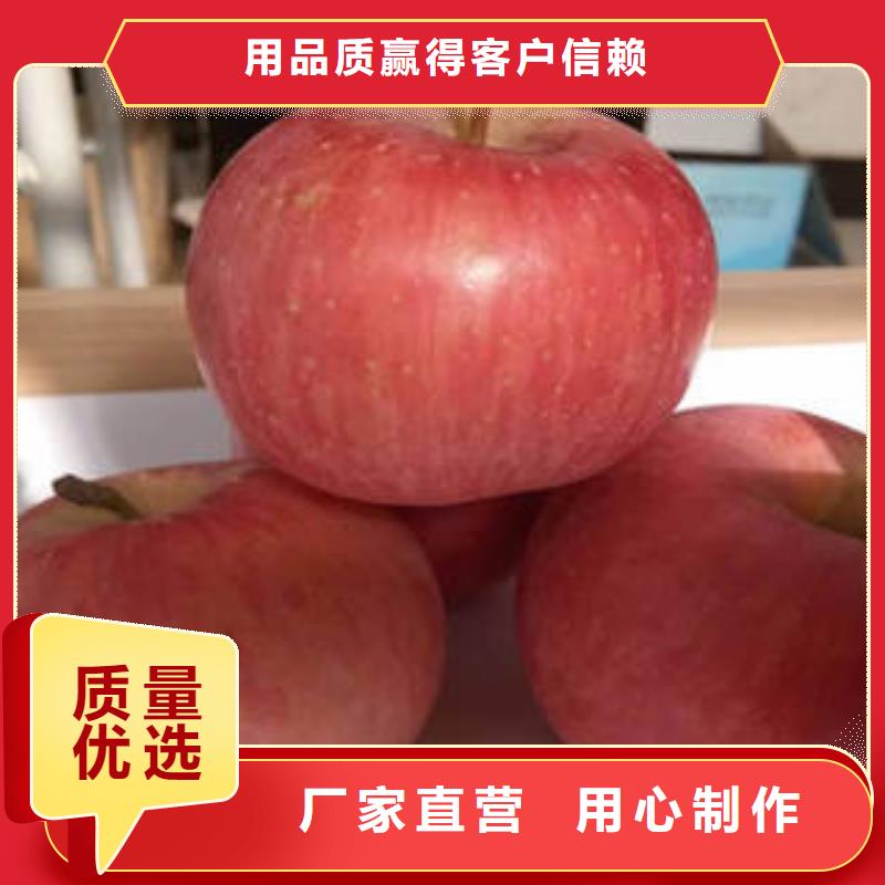 销售红富士苹果厂家