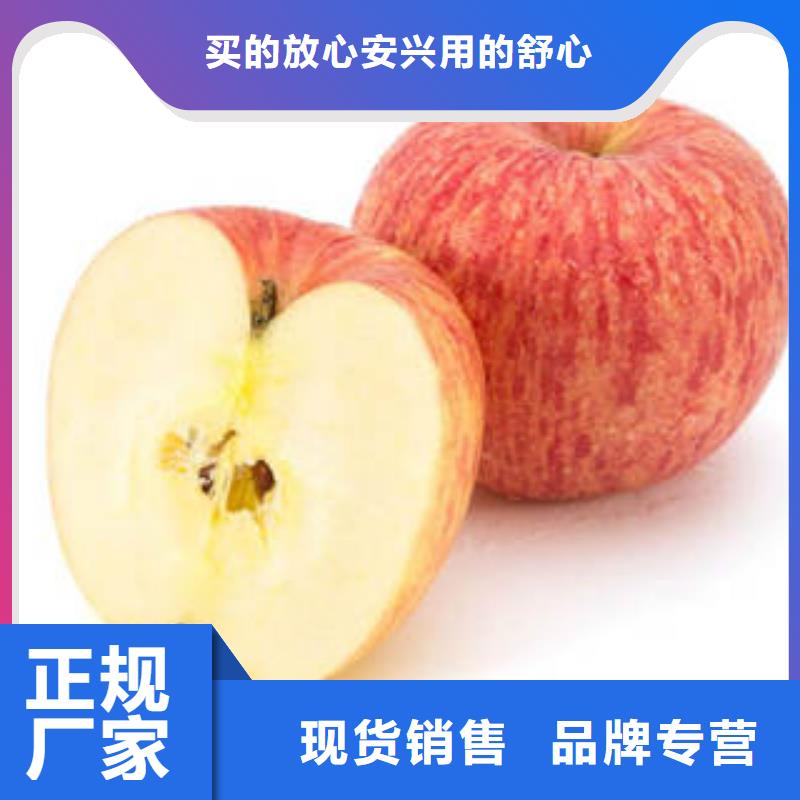 红富士苹果厂家好品质
