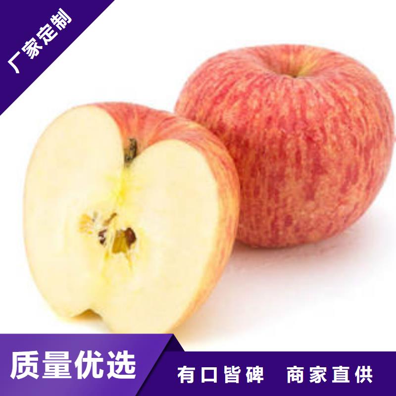 紅富士蘋果貨源穩(wěn)定