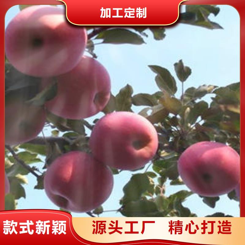 选购红富士苹果可按需定制