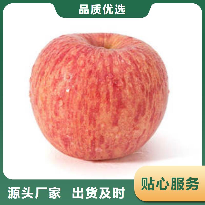 值得信赖的红富士苹果