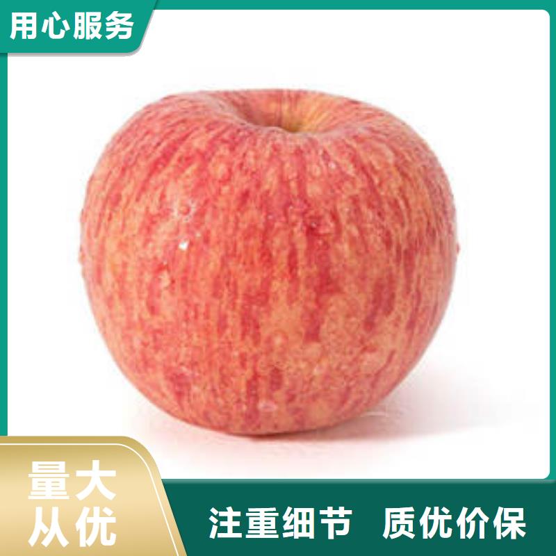 库存充足的红富士苹果供货商