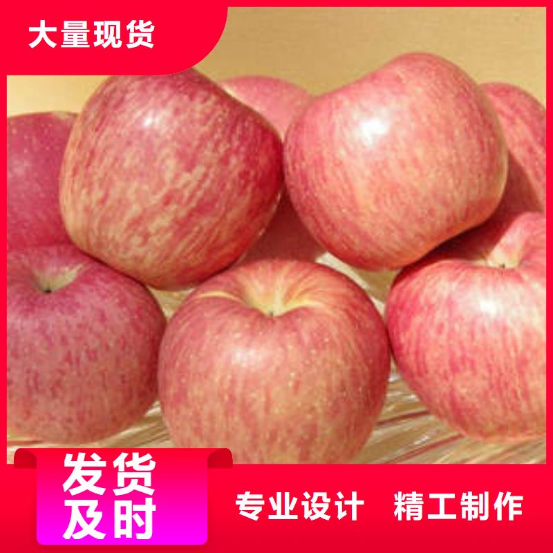 供应批发红富士苹果-省心品质保障售后无忧
