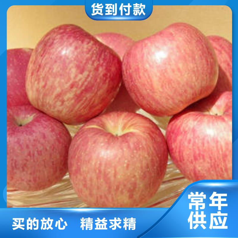 ​红富士苹果厂家，质优当地生产商