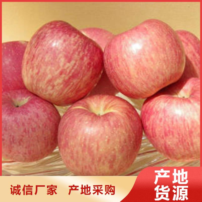 红富士苹果批发优惠多同城制造商