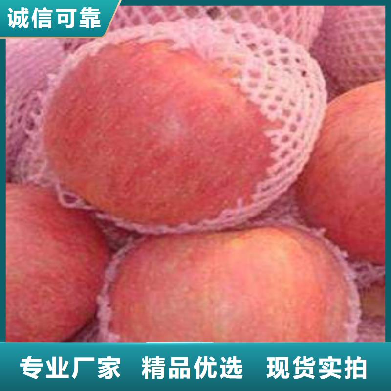 红富士苹果公司