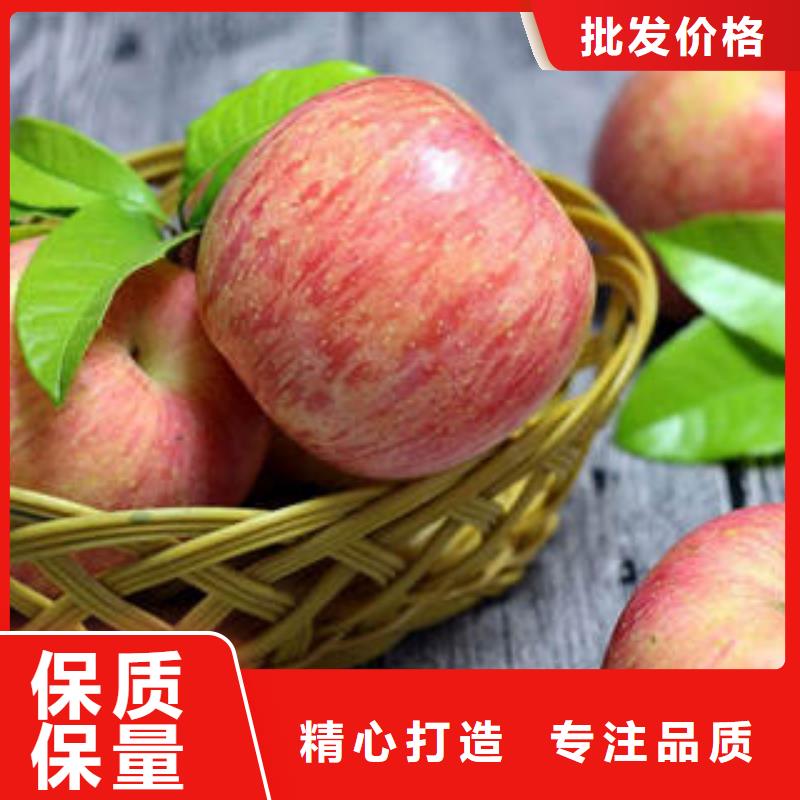紅富士蘋果-信譽可靠