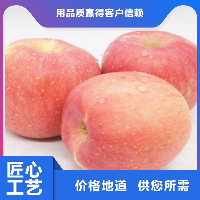 质量优的红富士苹果生产厂家
