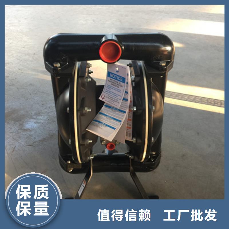 气动隔膜泵03现场安装当地供应商