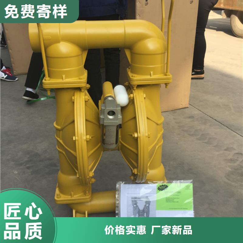 做气动隔膜泵03的厂家同城公司