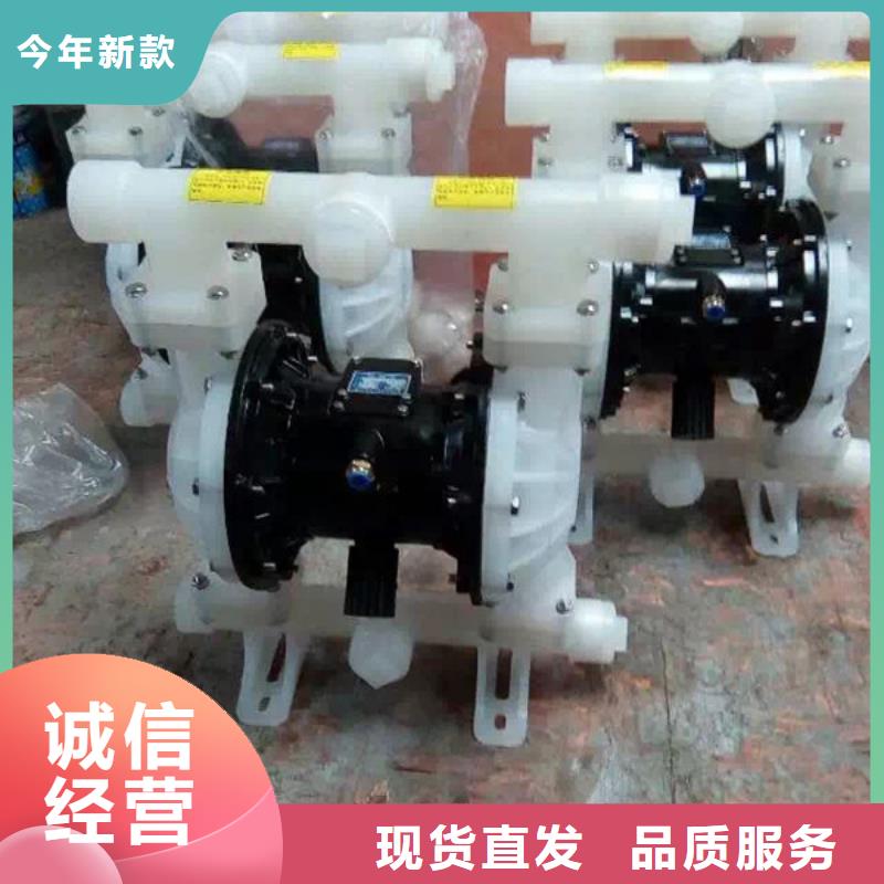 气动隔膜泵03铸造金品的图文介绍