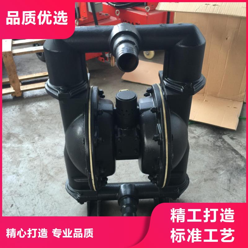气动隔膜泵03生产公司实力大厂家