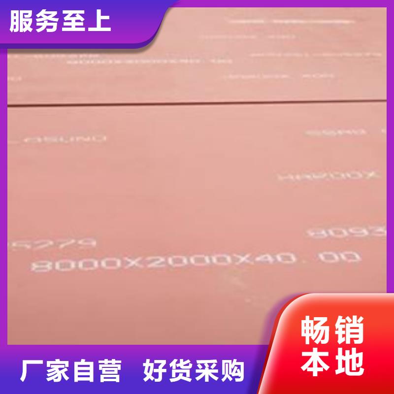进口耐磨板源头供应商