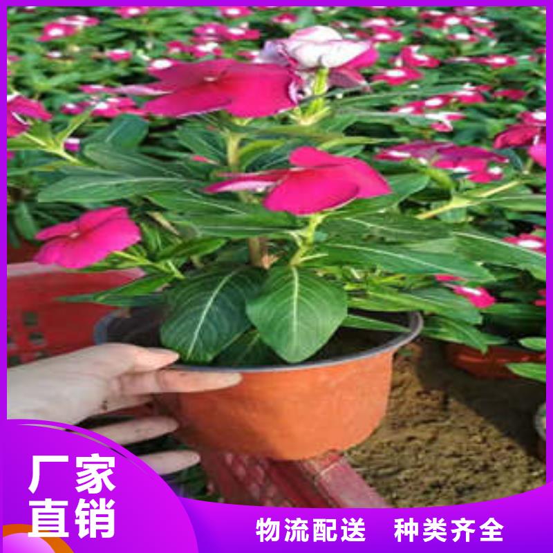 品牌的11厂家工厂认证