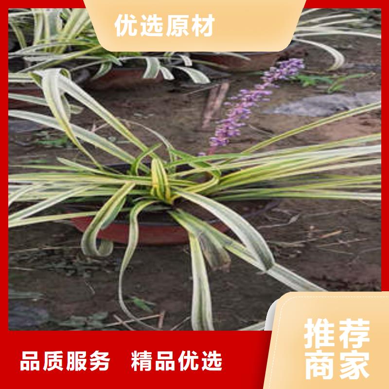 定制11的公司本地经销商
