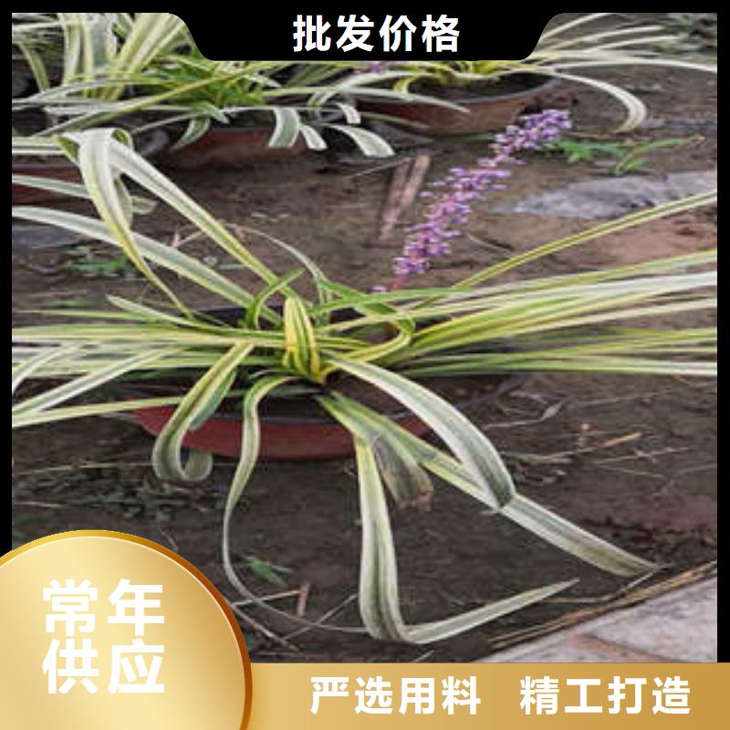 甄选：11供货商厂家经验丰富