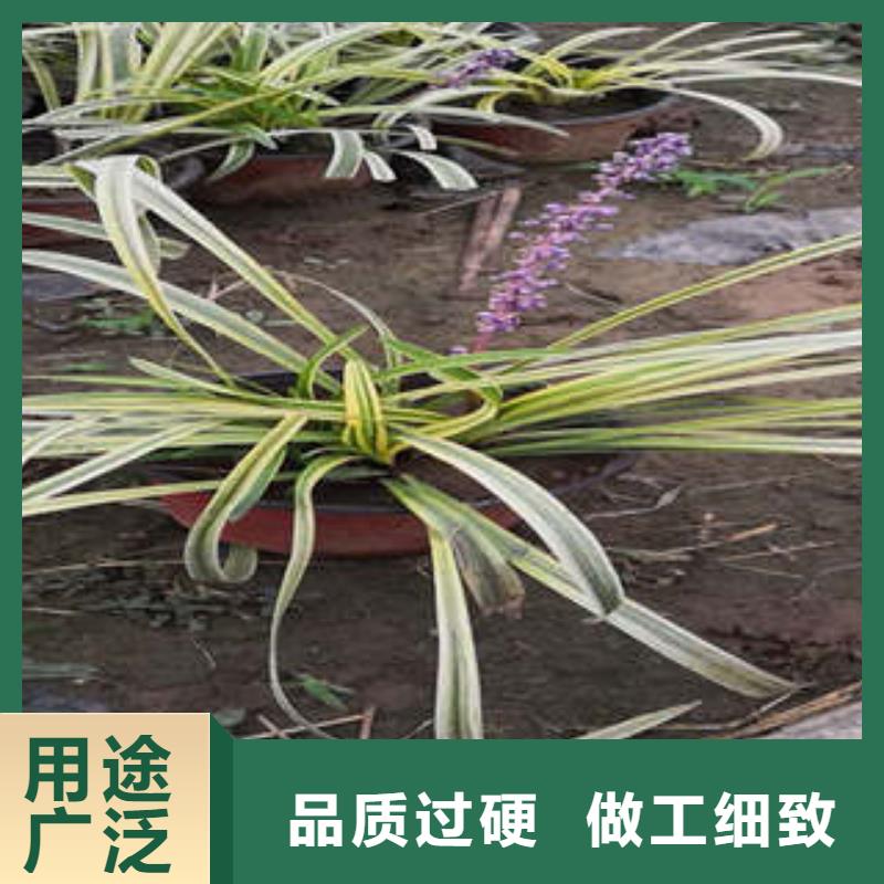 11来厂实地考察打造好品质