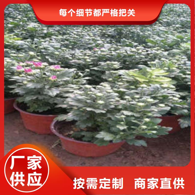 11型号齐全同城货源