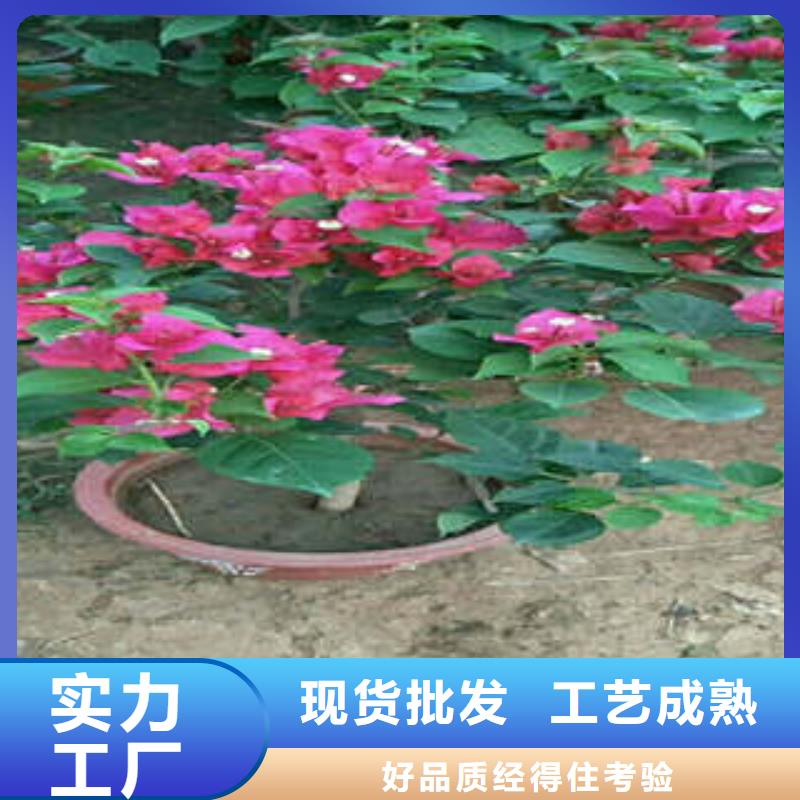 11品种多价格低一站式采购商家
