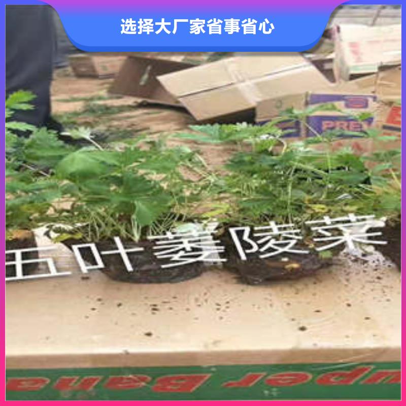 11有现货也可定制按需定制