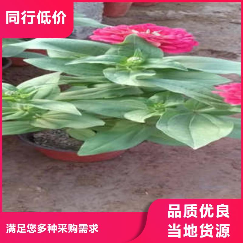 11-量大价优质量检测