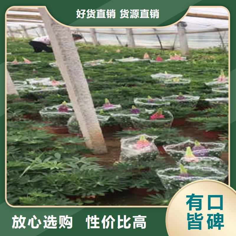 11-11售后保障随心所欲定制