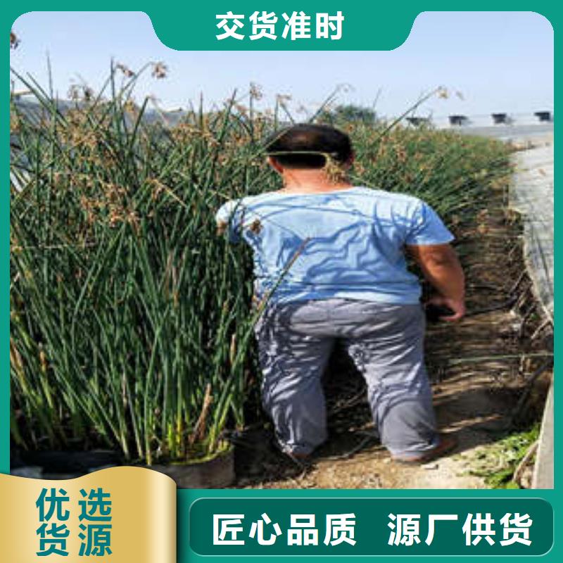 11免费设计厂家拥有先进的设备
