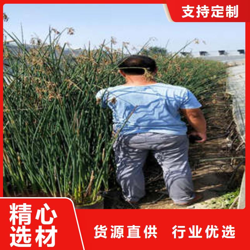 批发11的公司