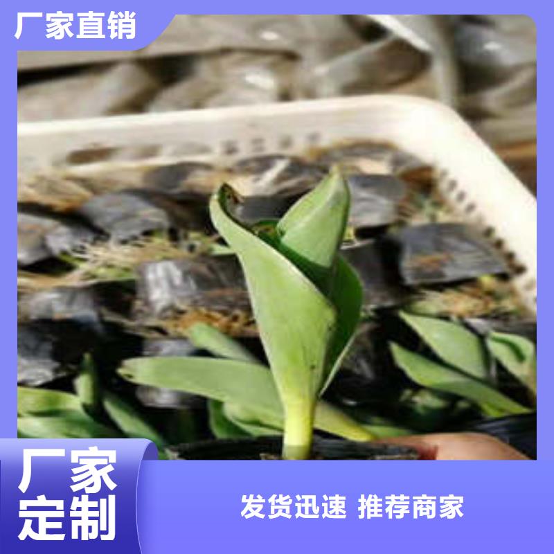 服务周到的11公司
