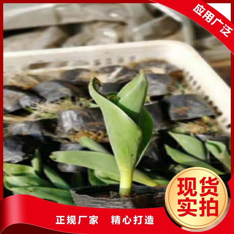 11多年老厂同城厂家