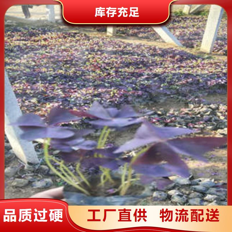 厂家直销11、可定制同城生产厂家