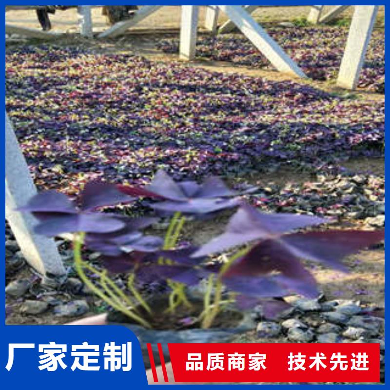 11-11价廉同城生产商