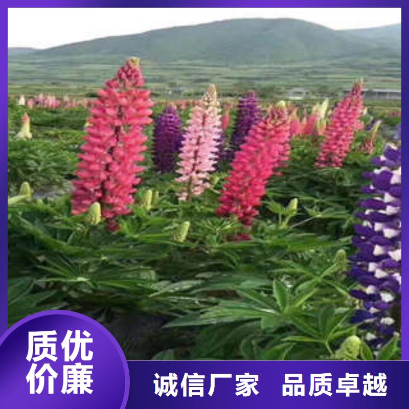 高质量11供应商精心选材