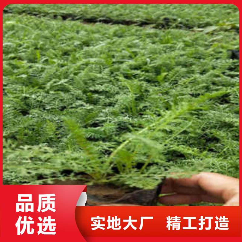 11现货全国配送品质无所畏惧