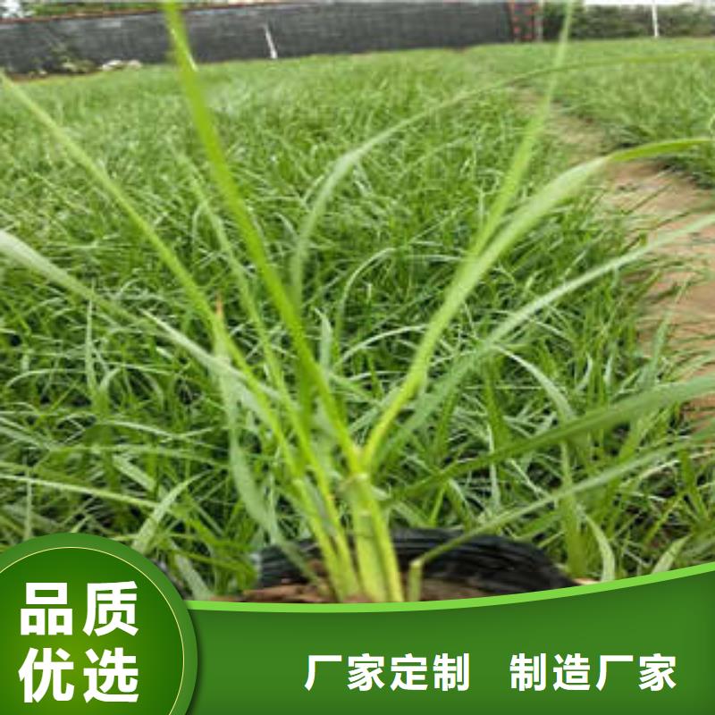 11厂家，定制同城品牌